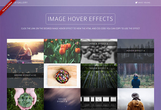 cool-image-hover-effects-css6